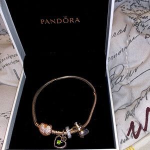 Pandora Bracelet (or charms)